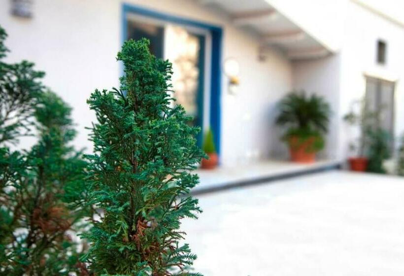 مبيت وإفطار Domus Vilù