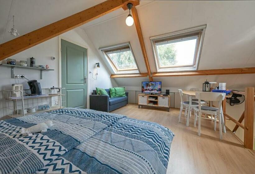 住宿加早餐  Eendrachtweg 4