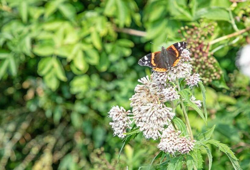 住宿加早餐  Eendrachtweg 4