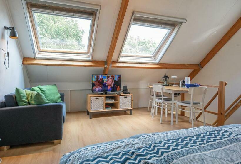 住宿加早餐  Eendrachtweg 4