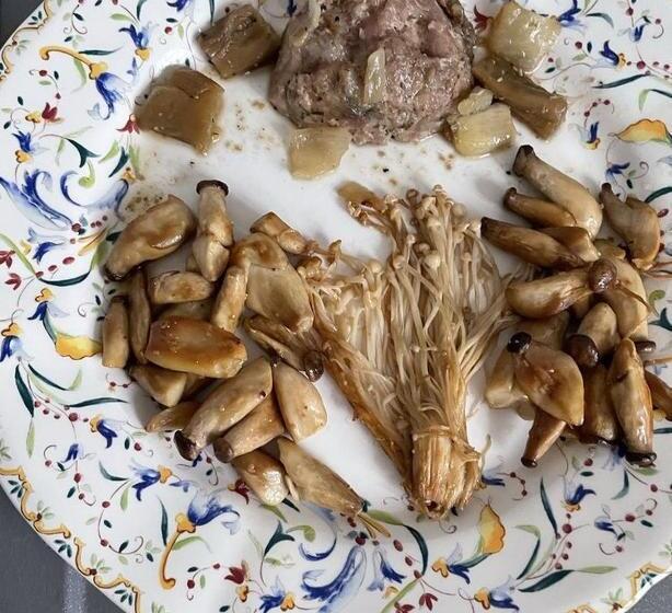 צימר Evasion De Loire