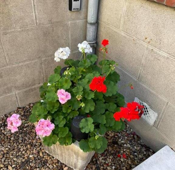 住宿加早餐 Evasion De Loire