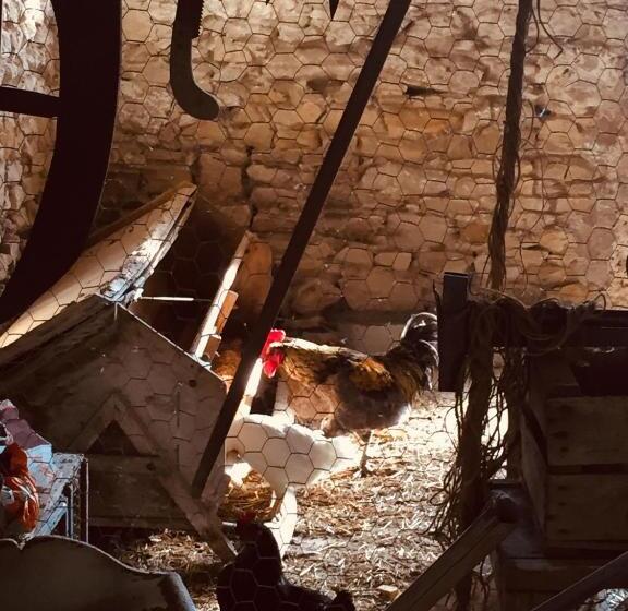 住宿加早餐  Ferme St Pierre Gîte Autonome 2 4 Personnes