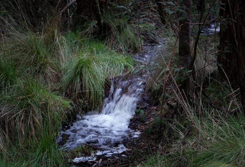 민박 Hanging Rock Views