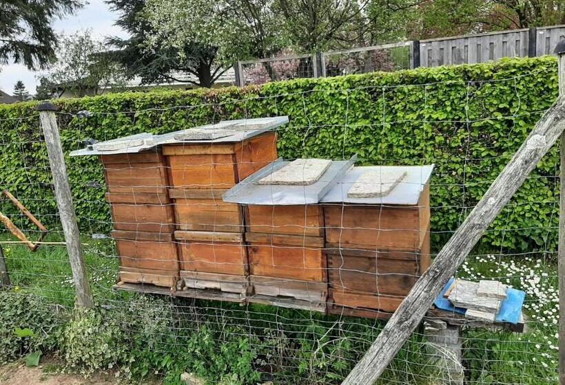 צימר Haus   Pantenburg