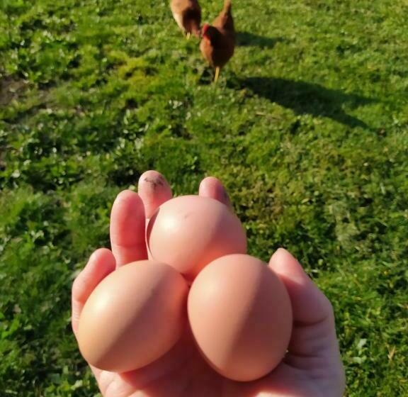 민박 Ker Anahid L Atelier