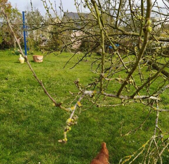 민박 Ker Anahid L Atelier