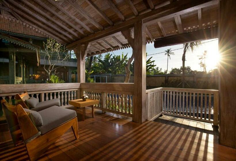 צימר Kutus Kutus Estuary Saba Beach