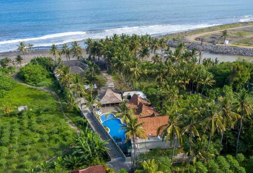 צימר Kutus Kutus Estuary Saba Beach