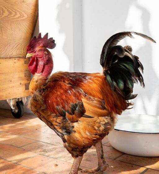 צימר La Grande Jaougue