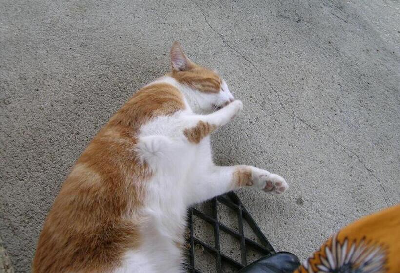 민박 La Grange Aux Roses