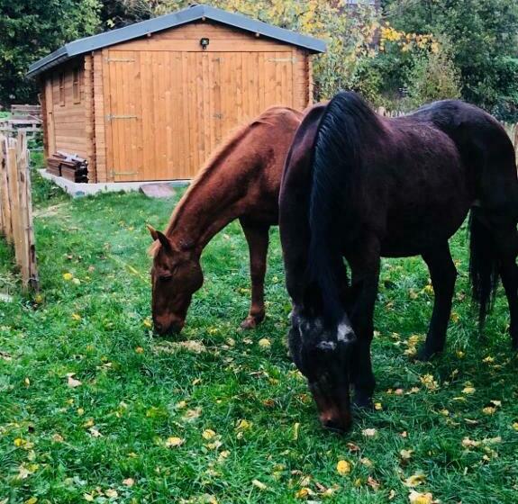 Bed and Breakfast La Mosane