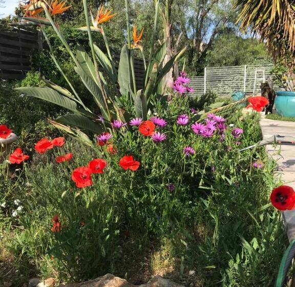 مبيت وإفطار La Passiflore