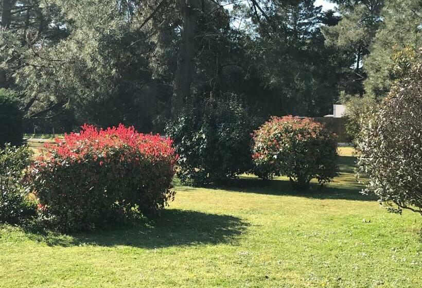 Bed and Breakfast Le 25 L Océan