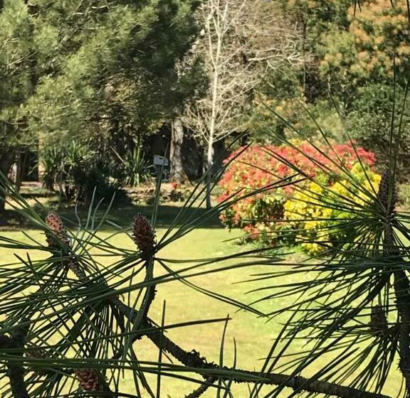 Bed and Breakfast Le 25 L Océan