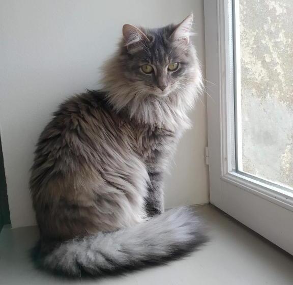 مبيت وإفطار Les Vergers De Cussy