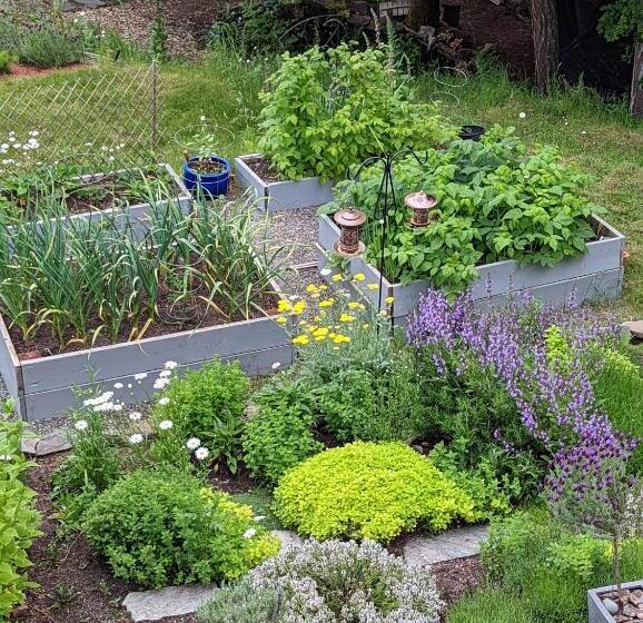 צימר Maple Rise Guesthouse