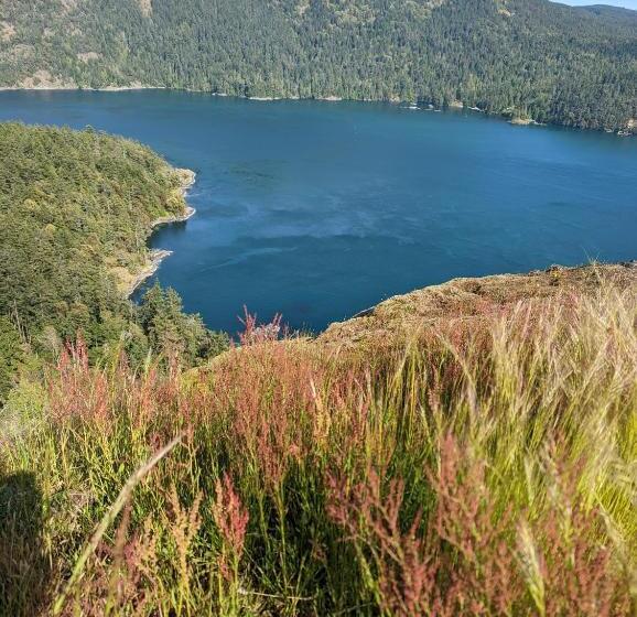 צימר Maple Rise Guesthouse