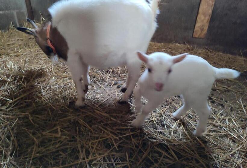 مبيت وإفطار Relais De La Poste