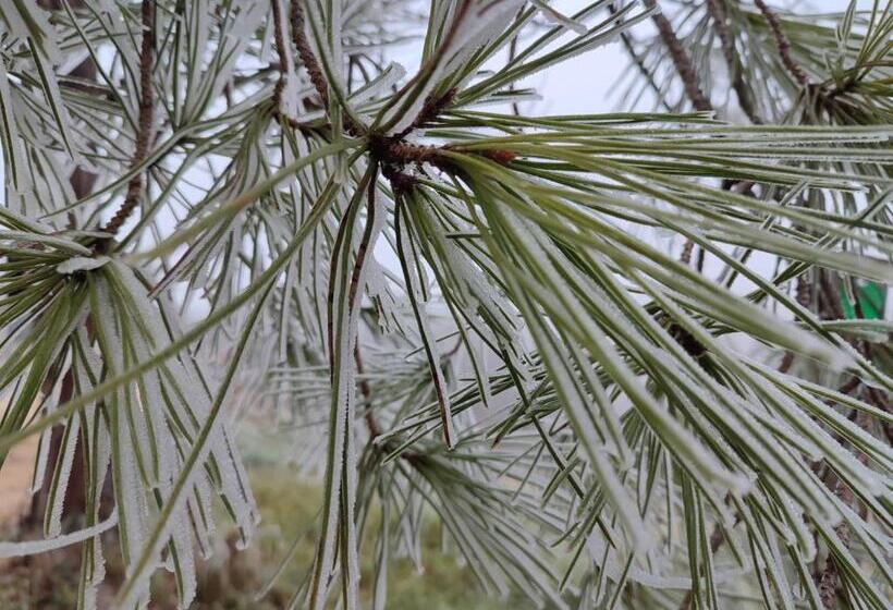 مبيت وإفطار Relais De La Poste