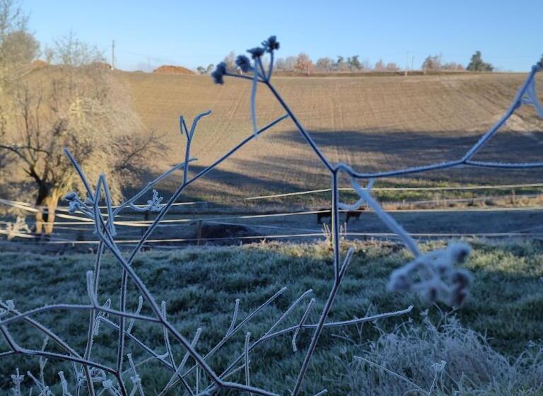 مبيت وإفطار Relais De La Poste