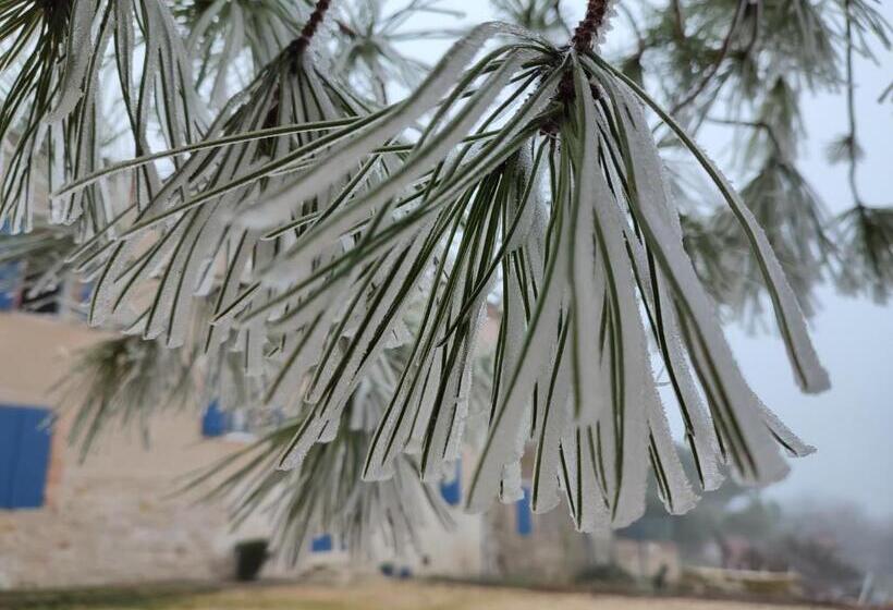 مبيت وإفطار Relais De La Poste