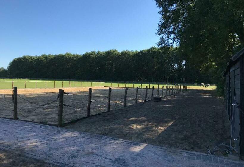 민박 T Heidepaleis