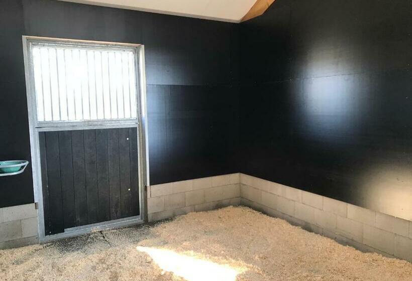 민박 T Heidepaleis