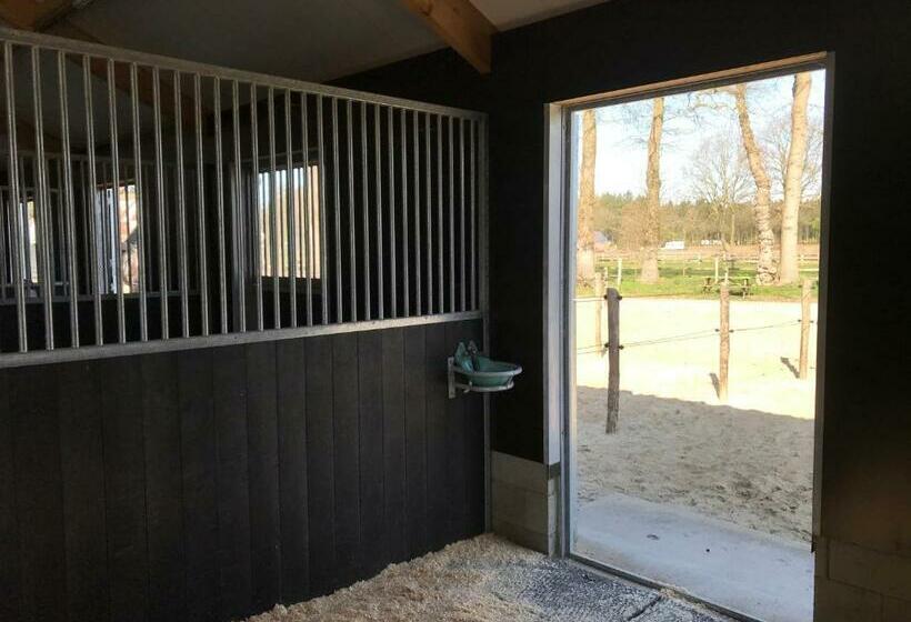 צימר T Heidepaleis