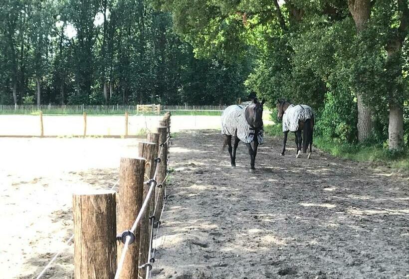 צימר T Heidepaleis