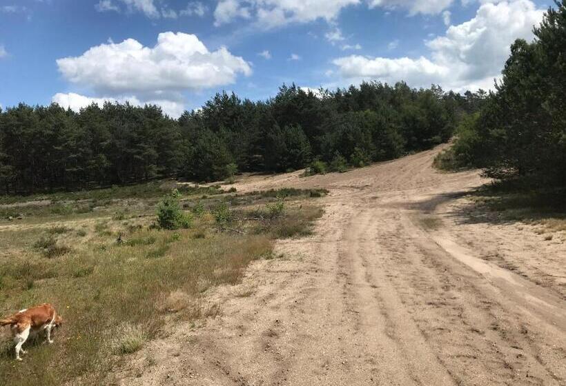 צימר T Heidepaleis