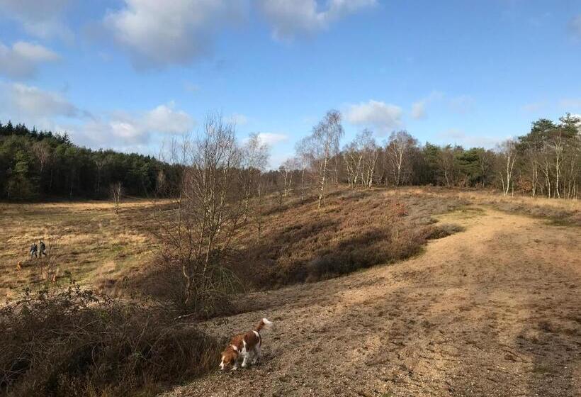 צימר T Heidepaleis