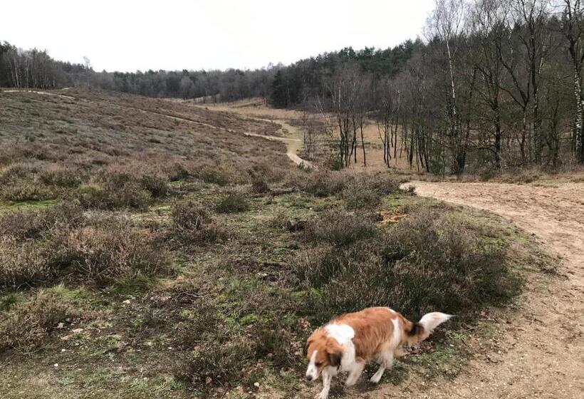 민박 T Heidepaleis