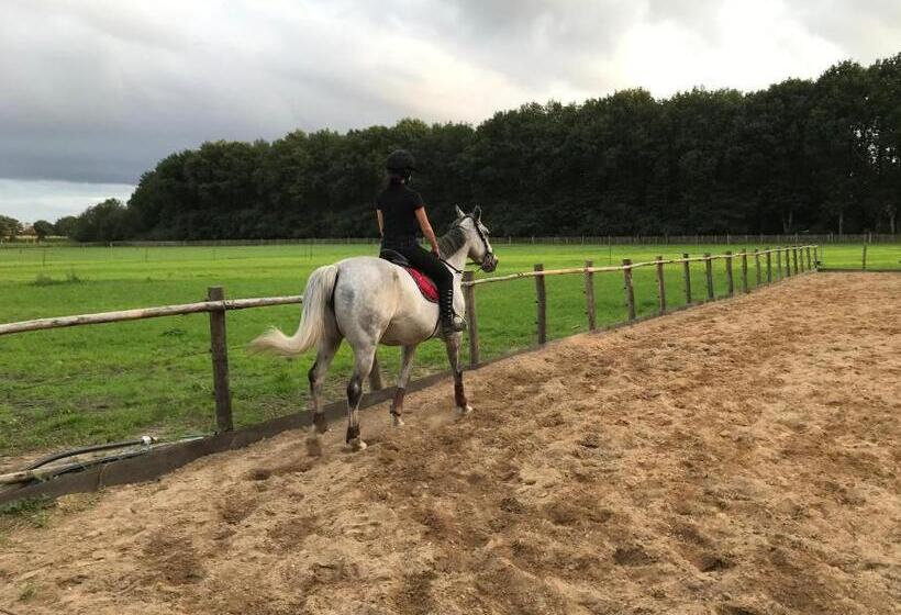 צימר T Heidepaleis