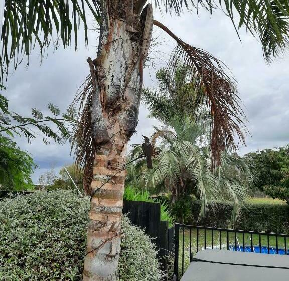 Tui Glade Bed And Breakfast