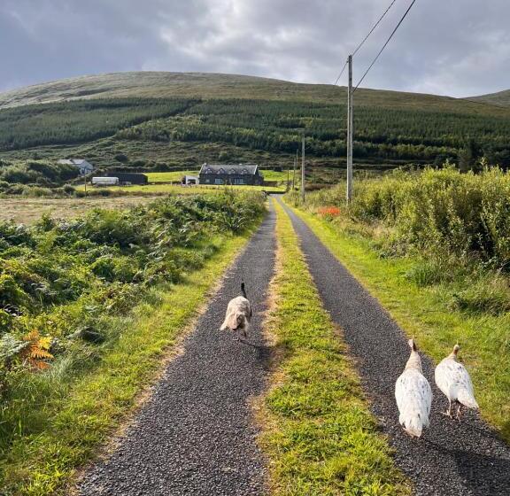 住宿加早餐  Valentia View