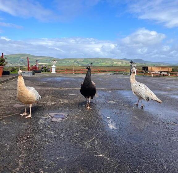 住宿加早餐  Valentia View