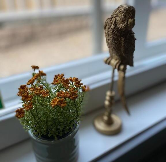 Eleonora Bed & Breakfast