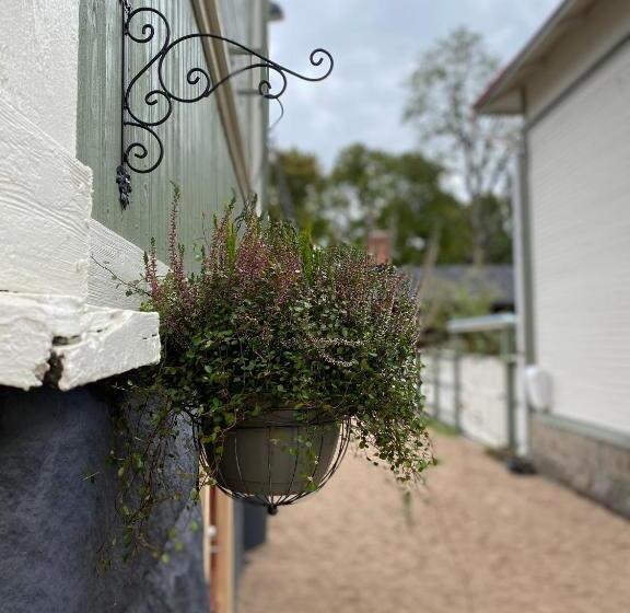 Eleonora Bed & Breakfast