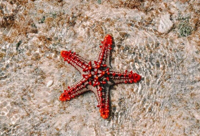 Reddoorz At Homa Resort