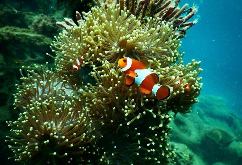 Reddoorz At Homa Resort