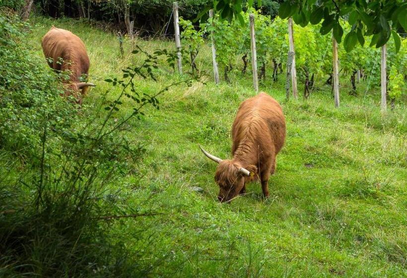 هتل Glamping   Hayrack Vesel