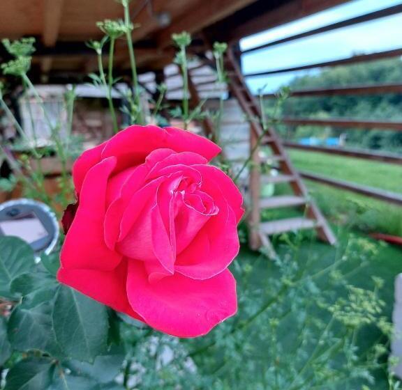 هتل Glamping   Hayrack Vesel