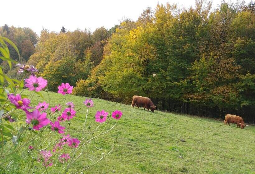 هتل Glamping   Hayrack Vesel