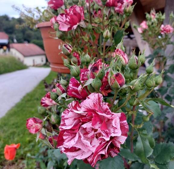 هتل Glamping   Hayrack Vesel