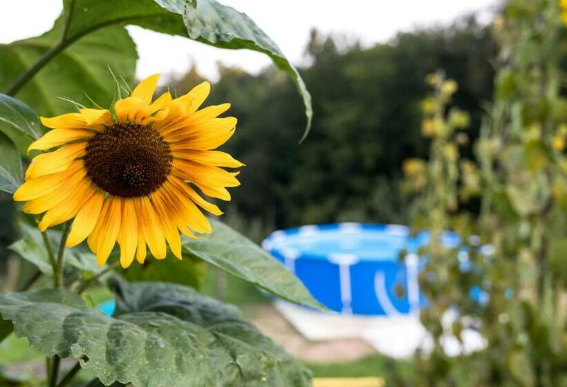 هتل Glamping   Hayrack Vesel