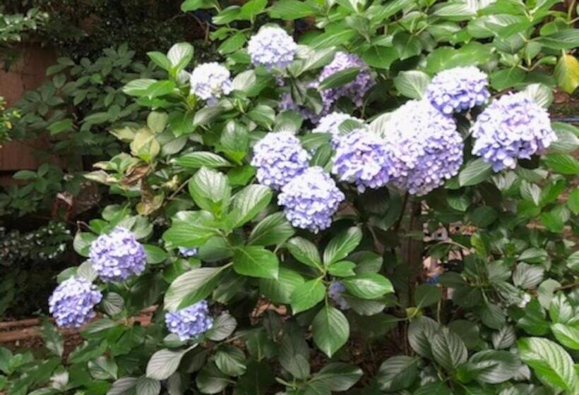 酒店 Izuya Ryokan   Vacation Stay 22369v