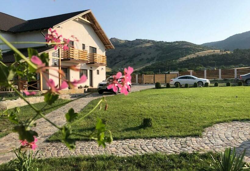 Отель Plai Dobrogean