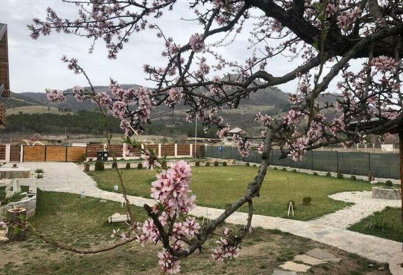 Отель Plai Dobrogean