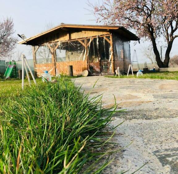 Отель Plai Dobrogean